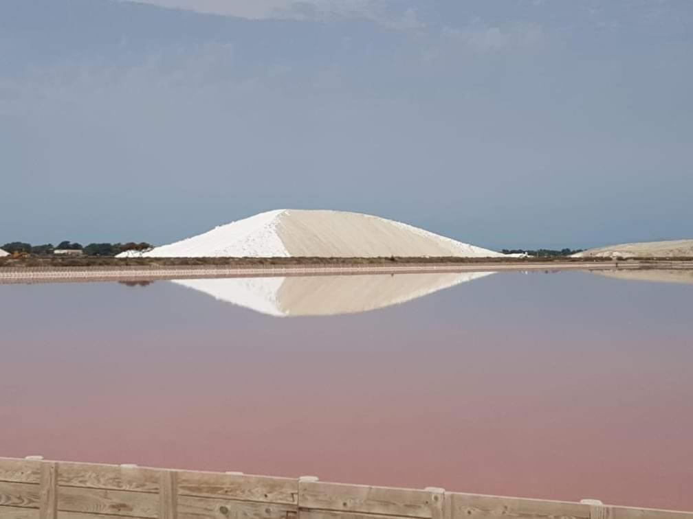 Vila Orchidee Rose Saint-Laurent-dʼAigouze Exteriér fotografie