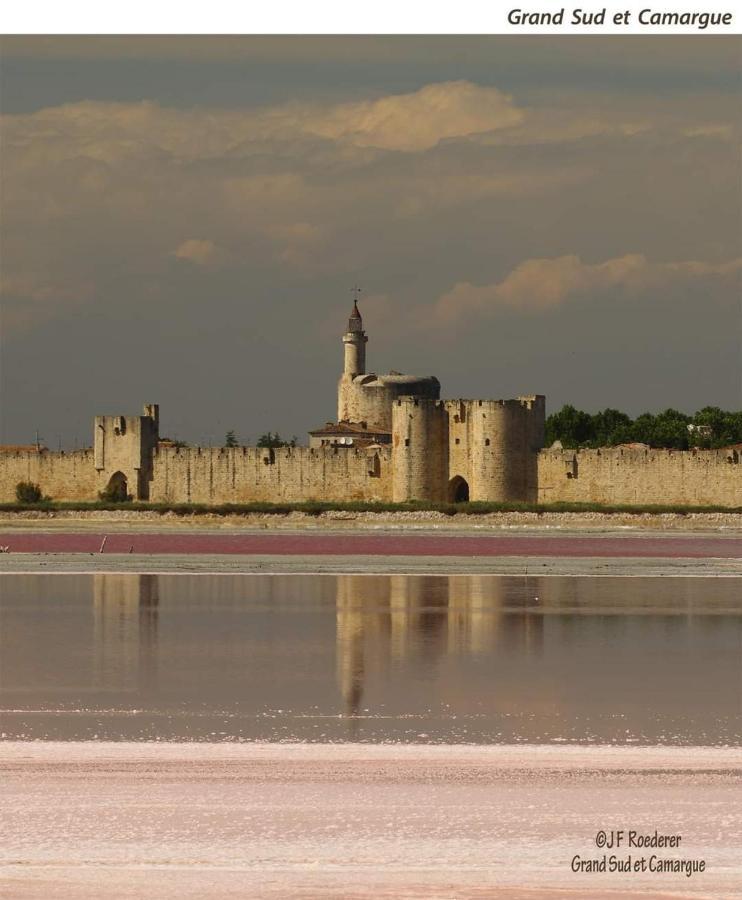 Vila Orchidee Rose Saint-Laurent-dʼAigouze Exteriér fotografie